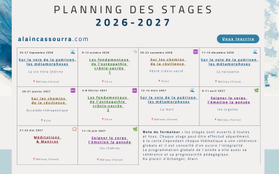 Travail sur soi et stages : planning 2026-2027